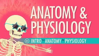 Introduction to Anatomy amp Physiology Crash Course Anatomy amp Physiology 1 [upl. by Jackqueline]