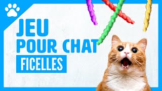 JEU POUR CHAT sur écran  FICELLE  Pour amuser les chats et chatons [upl. by Nihahs18]