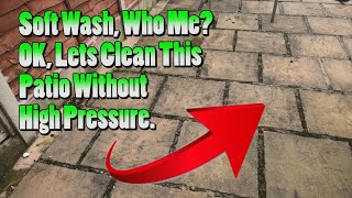 Soft washing a dirty patio No pressure just chemical [upl. by Tonina]