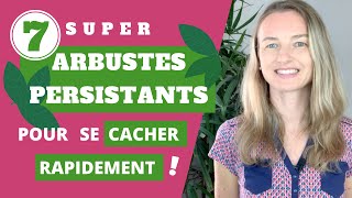 7 super arbustes PERSISTANTS pour se cacher RAPIDEMENT [upl. by Arved]