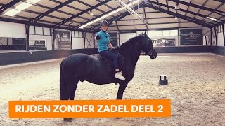 Rijden zonder zadel met Britt en Teddy  PaardenpraatTV [upl. by Taddeusz804]