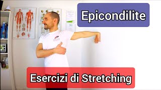 EPICONDILITE Esercizi di stretching [upl. by Walli]