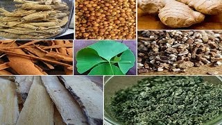 Best Herbs for Energy Using Natural Herbal Stimulants [upl. by Tewell]