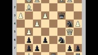 Instructive Slav Defense Game Carlsen vs Gelfand [upl. by Haneehs]