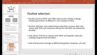 Immune Regulation amp Immunological Tolerance [upl. by Yrad]