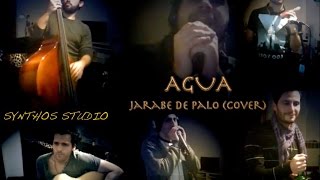 Agua  Jarabe de Palo cover [upl. by Kosel877]