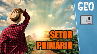 O que é o setor primário  Extrativismo agricultura e pecuária [upl. by Arther934]