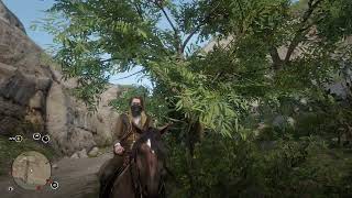 Red Dead Redemption 2 flashing bandana bug [upl. by Mariele]