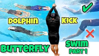 Butterfly Swimming Series Part 1 quotDolphin Kickquot Swimming Tips for Beginners Swimming Training [upl. by Osbert]