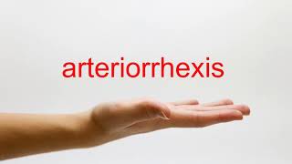 How to Pronounce arteriorrhexis  American English [upl. by Solracnauj]