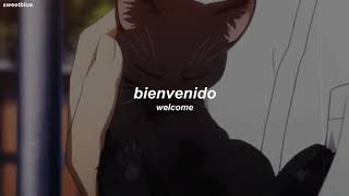 esta canción dura 16 segundos pero te encantará  here comes the boy español [upl. by Sekyere172]