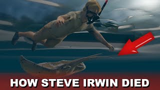 Steve Irwin Death Video Footage Recreation [upl. by Siryt]