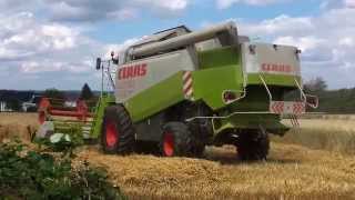 Claas Lexion 440 Mähdrescher bei der Ernte [upl. by Berkie]