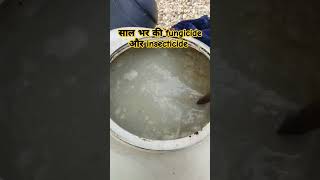 साल भर की fungicide और insecticide agriculture किसानकीखेती123 ytshorts [upl. by Burnham]