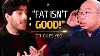 Youve Been LIED to About Body Positivity  Weight Loss Expert Dr Giles Yeo 4K  heretics 34 [upl. by Garrard]