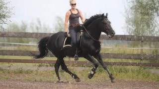 Thamar amp Lipizzaner Stallion quotZiggyquot riding Bridleless [upl. by Codee]