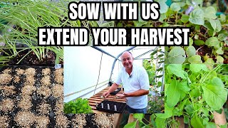 Harvest Growth Time Sow Seeds  Seed To Harvest Growing With US  Gardening Tips [upl. by Ainnat57]