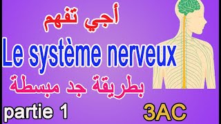 Le système nerveux  la sensibilité consciente  SVT 3AC  partie 1 [upl. by Sirtemed]