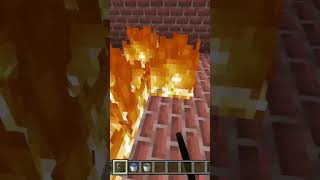 Burning A Endermite In Minecraft 23 [upl. by Melina]