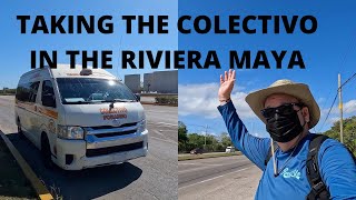 How To Take The Colectivo Riviera Maya Cancun Playa Del Carmen Tulum [upl. by Errecart]