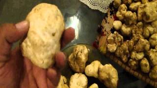 White Truffle [upl. by Akeemat]