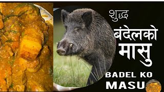 बदेलको मासु सजिलो तरिका । Badel Ko Masu  Boar Meat Curry  Pork dekhayeko chhunepalnepalifood [upl. by Sylvia]