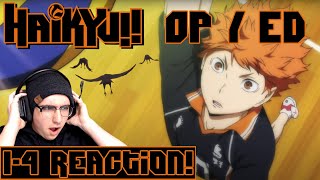 Haikyuu Opening amp Endings 14 Reaction [upl. by Moraj]