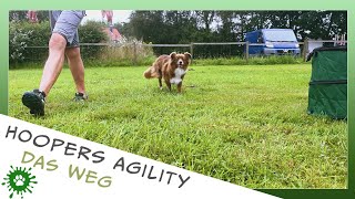 Hoopers Agility 2021  Das Weg [upl. by Aryajay]