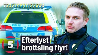 Polisen jagar efterlyst brottsling som sätter plattan i mattan  Trafikpoliserna  Kanal 5 Sverige [upl. by Nevins369]