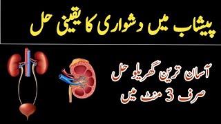 UTI infection in women  UTI infection in Men  پیشاب کے مسائل [upl. by Kenon]