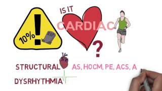 2 Syncope  CausesPathophysiology v31 [upl. by Trauts199]