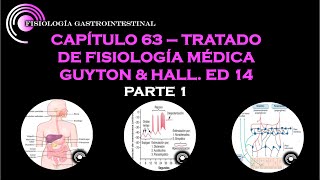 GUYTON amp HALL CAP 63 PRINCIPIOS GENERALES DE LA FUNCION GASTROINTESTINAL  PARTE 1 [upl. by Gerkman496]