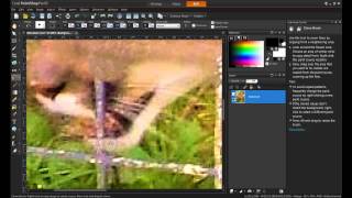 Advanced Cloning in PaintShop Pro X5 [upl. by Bradstreet]