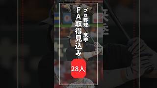 【プロ野球】来季FA取得見込み選手28人 [upl. by Dielle670]