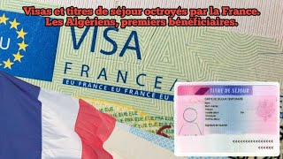 Visas et titres de séjour octroyés par la France Les Algériens premiers bénéficiaires [upl. by Lenni]