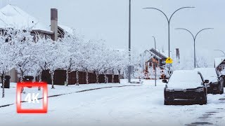 A Walking Tour TroisRivières Quebec Canada 4K  Relaxation  streetma [upl. by Zelig631]