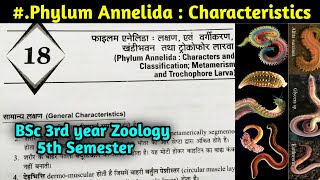 General Characteristics of Phylum Annelida in hindi  BSc 3rd year Zoology 5th Semester [upl. by Berkshire847]