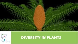 DIVERSITY IN PLANTS [upl. by Rattray224]