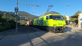 Usfahrt vo de Re 465 011 mit Brunbär und Valentina in Oensingen OeBB [upl. by Airotcivairam]