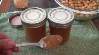 Ground Cherry Jelly Recipe [upl. by Alaster]