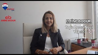 Tapu Devri Nasıl Yapılır   Detaylı Anlatım [upl. by Dranyer]