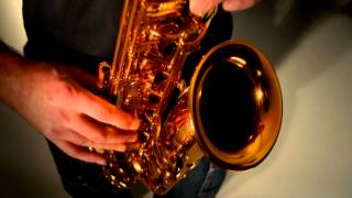 NuTube Mark HauserSaxophone Selmer Reference  Hausertone Endorsement [upl. by Ahsinra]