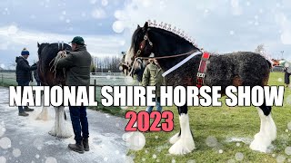 National Shire horse show  2023  THEY WIN [upl. by Horan]