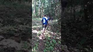 GPS transect walk demo 2 [upl. by Jammin]