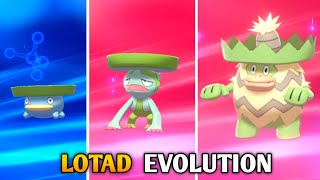 How To Evolve Lotad Into Lombre amp Ludicolo In Pokemon Sword amp Shield  Galar Pokedex [upl. by Caravette881]