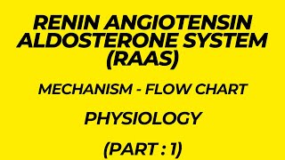 Renin Angiotensin Aldosterone System RAAS Mechanism  Flow chart Physiology Part 1 [upl. by Clynes]