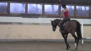 Galop 2 Galoper sur le bon pied [upl. by Lincoln]