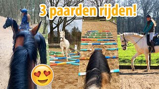 3 PAARDEN RIJDEN amp UNBOXING Covalliero  felinehoi VLOG 546 [upl. by Petit]