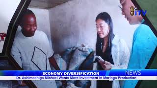 Economy Diversification Dr Ashimashiga Micheal Wants More Investment In Moringa Production [upl. by Blancha]