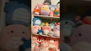 Collector check   Insect edition  squishmallows plushies squish [upl. by Enidanreb]